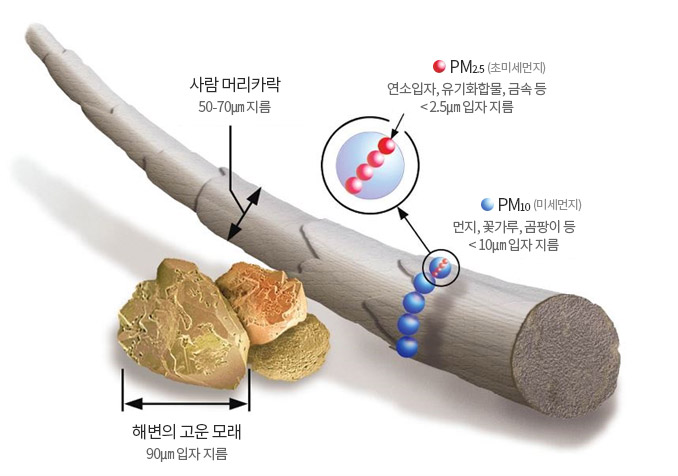 해변의 고운 모래:90㎛ 입자 지름, 사람머리카락:50~70㎛ 지름, PM2.5:연소입자, 유기화합물, 금속 등 >2.5㎛입자지름, PM10:먼지, 꽃가루, 곰팡이 등 >10㎛입자 지름