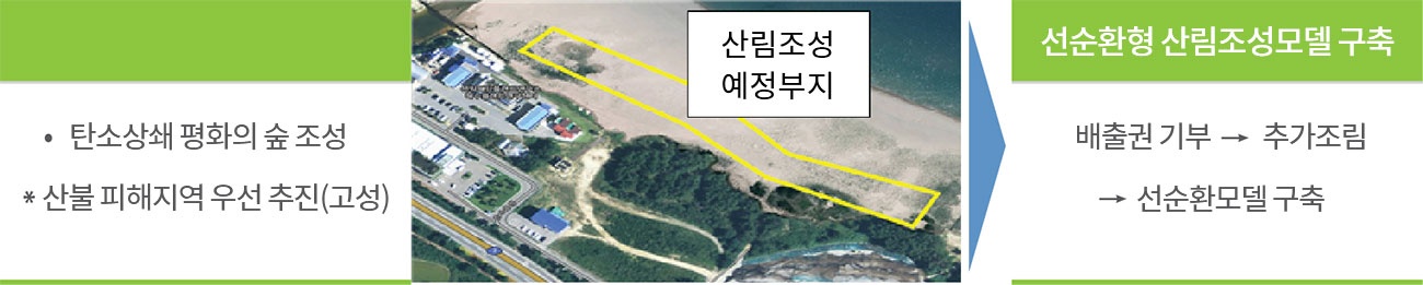 산림조성사업