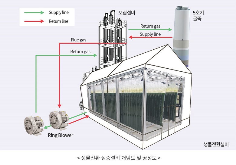 생물전환 실증설비 개념도 및 공정도