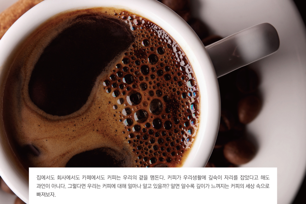 집에서도 회사에서도 카페에서도 커피는 우리의 곁을 맴돈다. 커피가 우리생활에 깊숙이 자리를 잡았다고 해도 과언이 아니다. 그렇다면 우리는 커피에 대해 얼마나 알고 있을까? 알면 알수록 깊이가 느껴지는 커피의 세상 속으로 빠져보자.