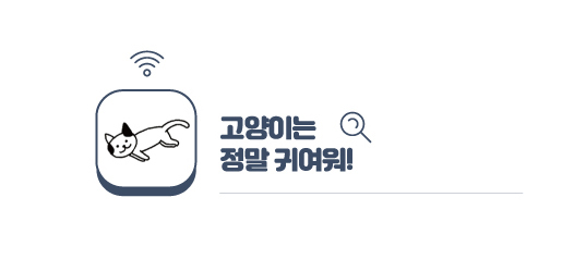 고양이는 2 정말 귀여워!